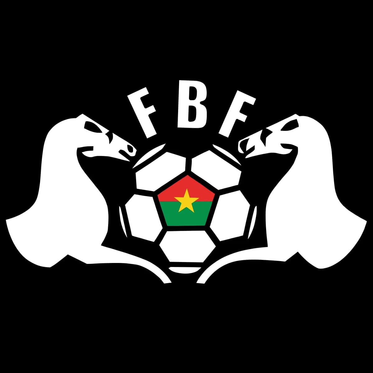 Selección De Burkina Faso vs Selección Argentina